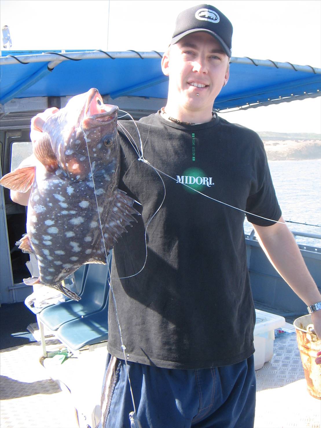 rankin cod
