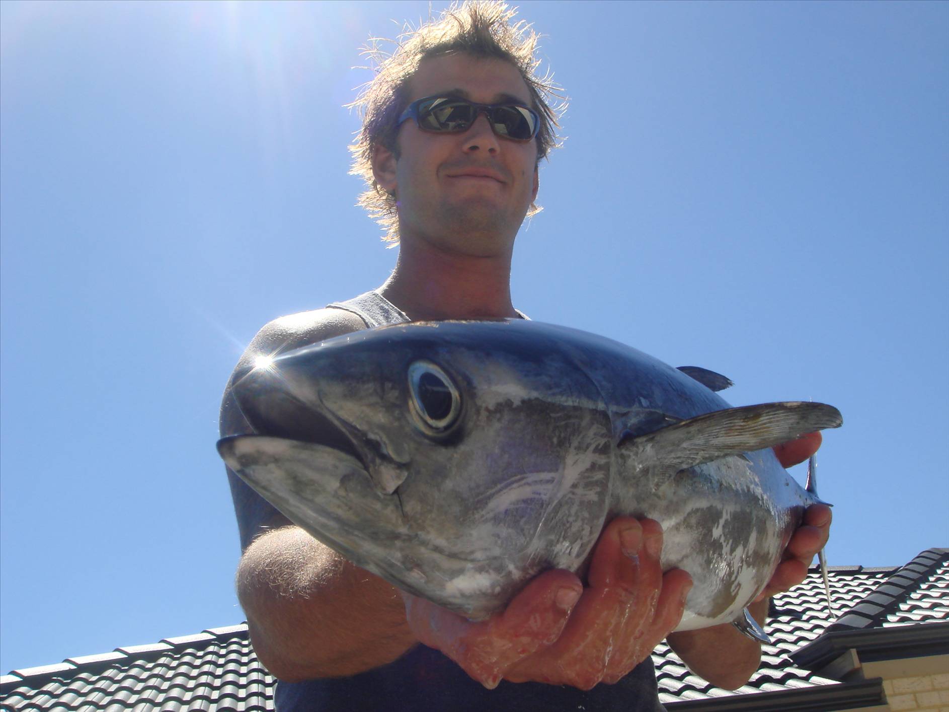 yellow fin