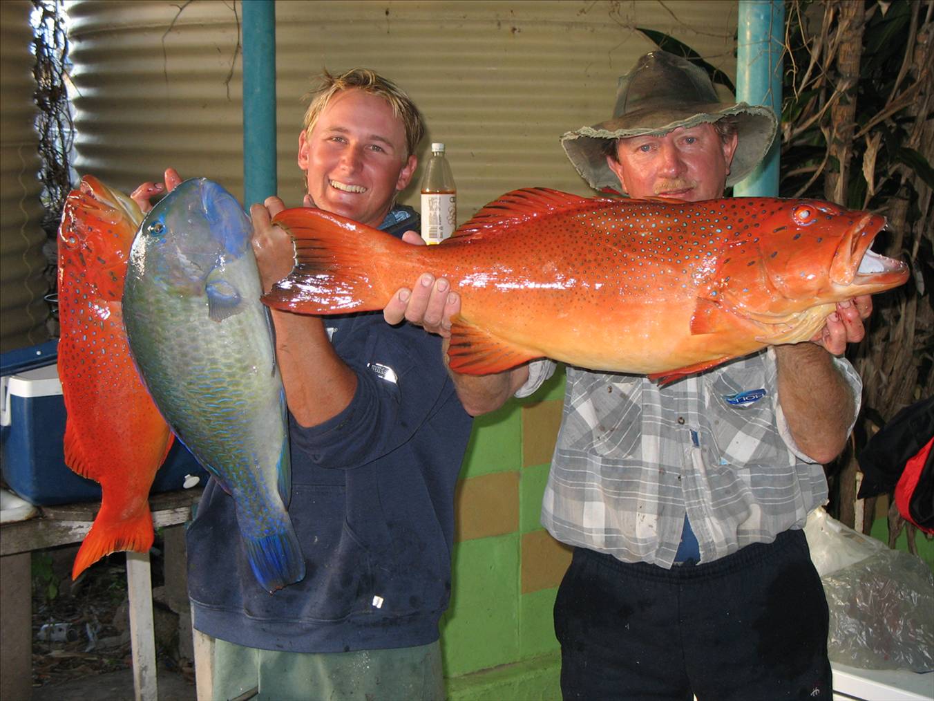 trouts and a bluey
