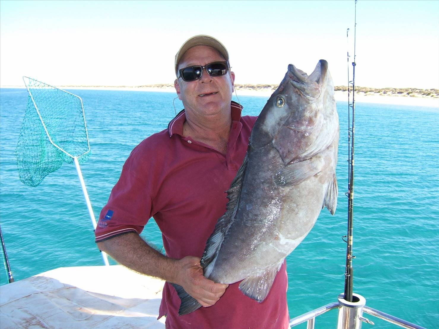 Rankin Cod Exmouth