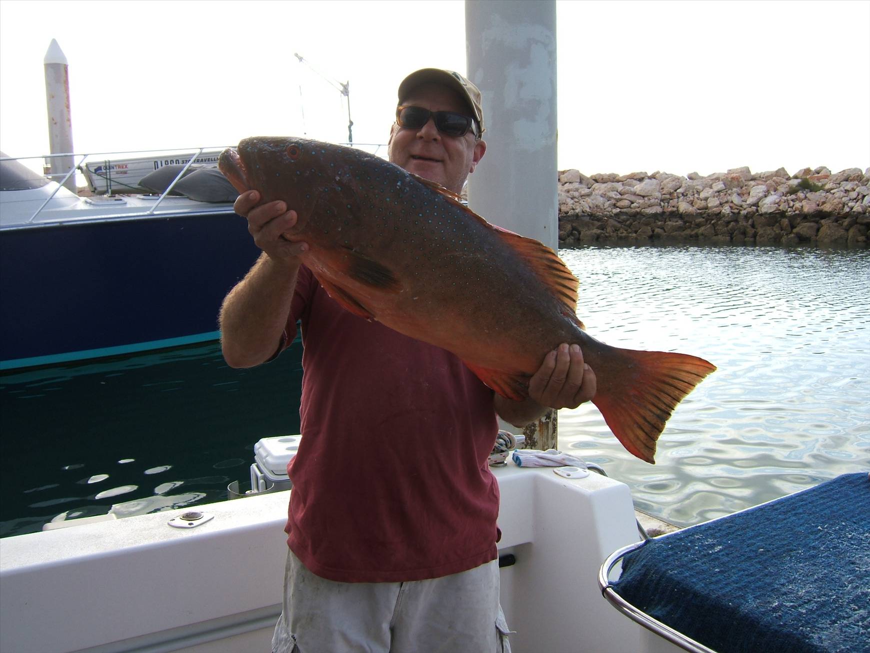 Coral Trout 