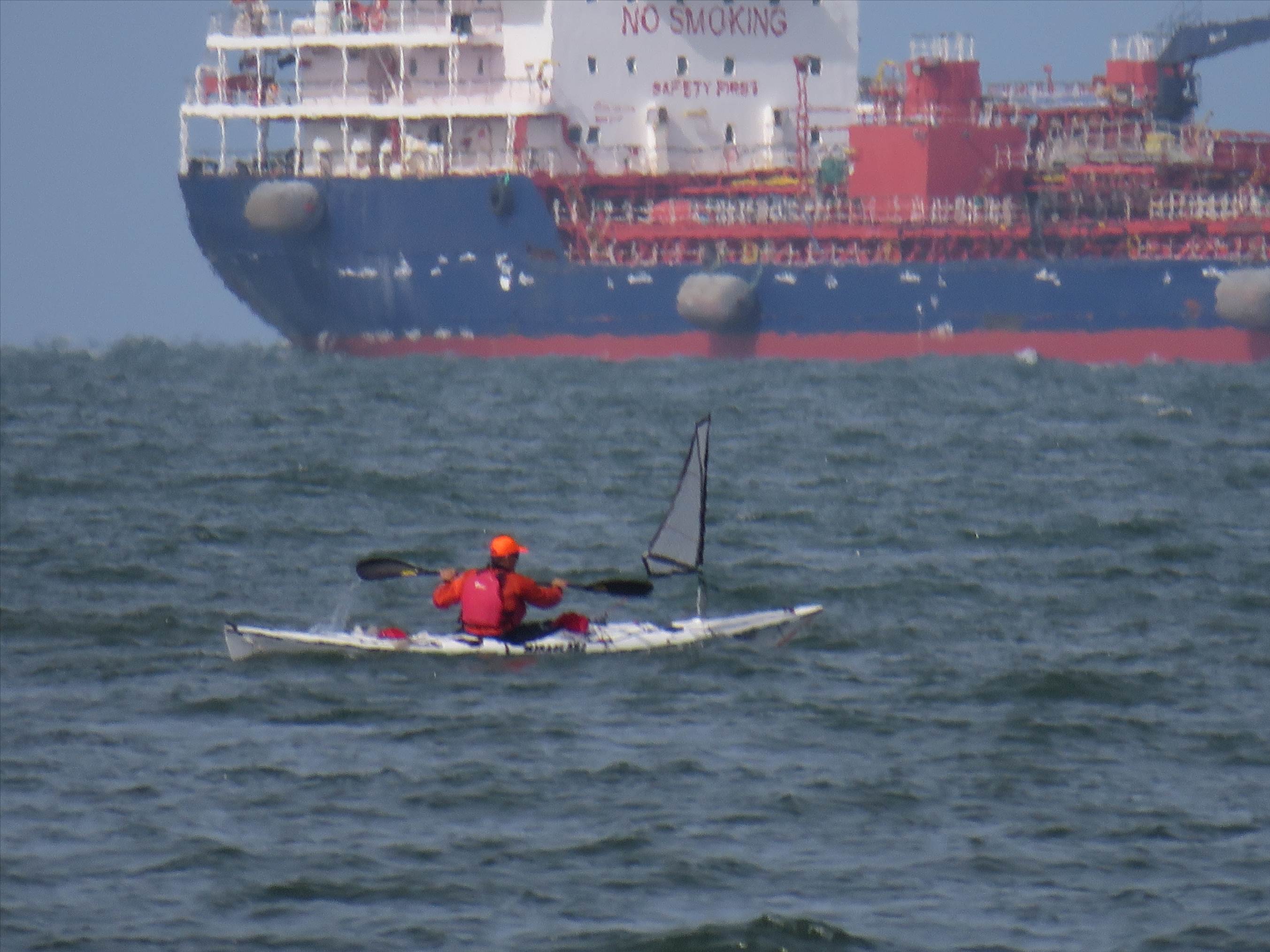 Hobsons Bay paddler