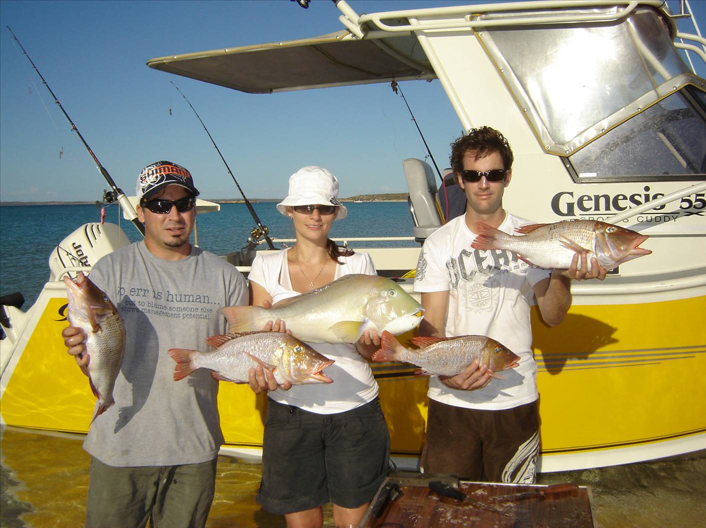 nice days catch