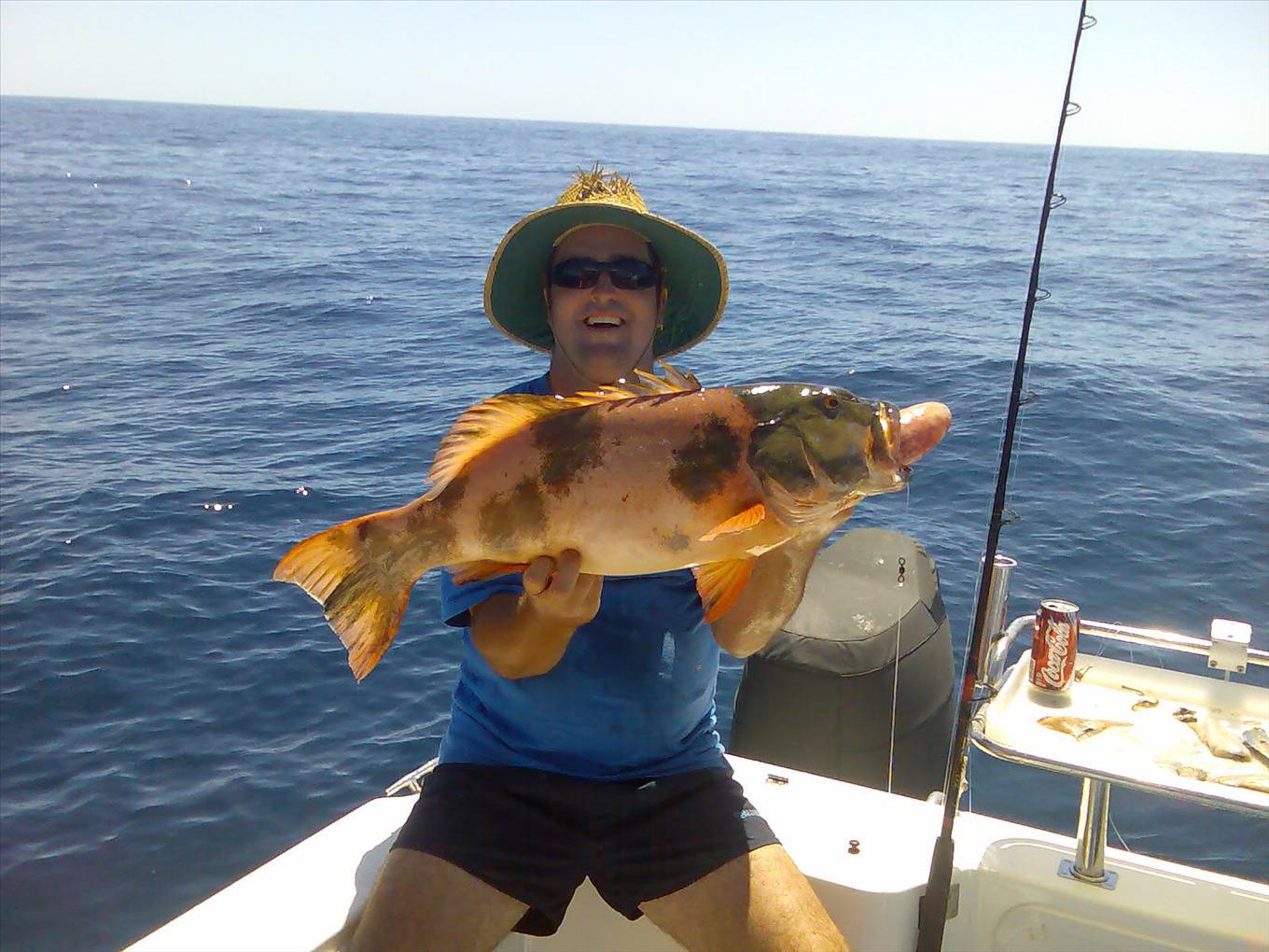 nice trout