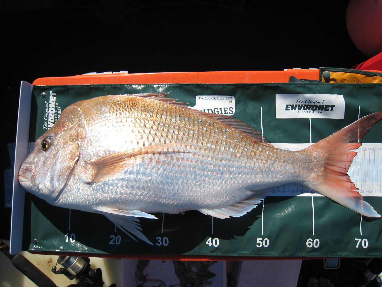 5.5kg