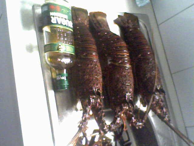 crays