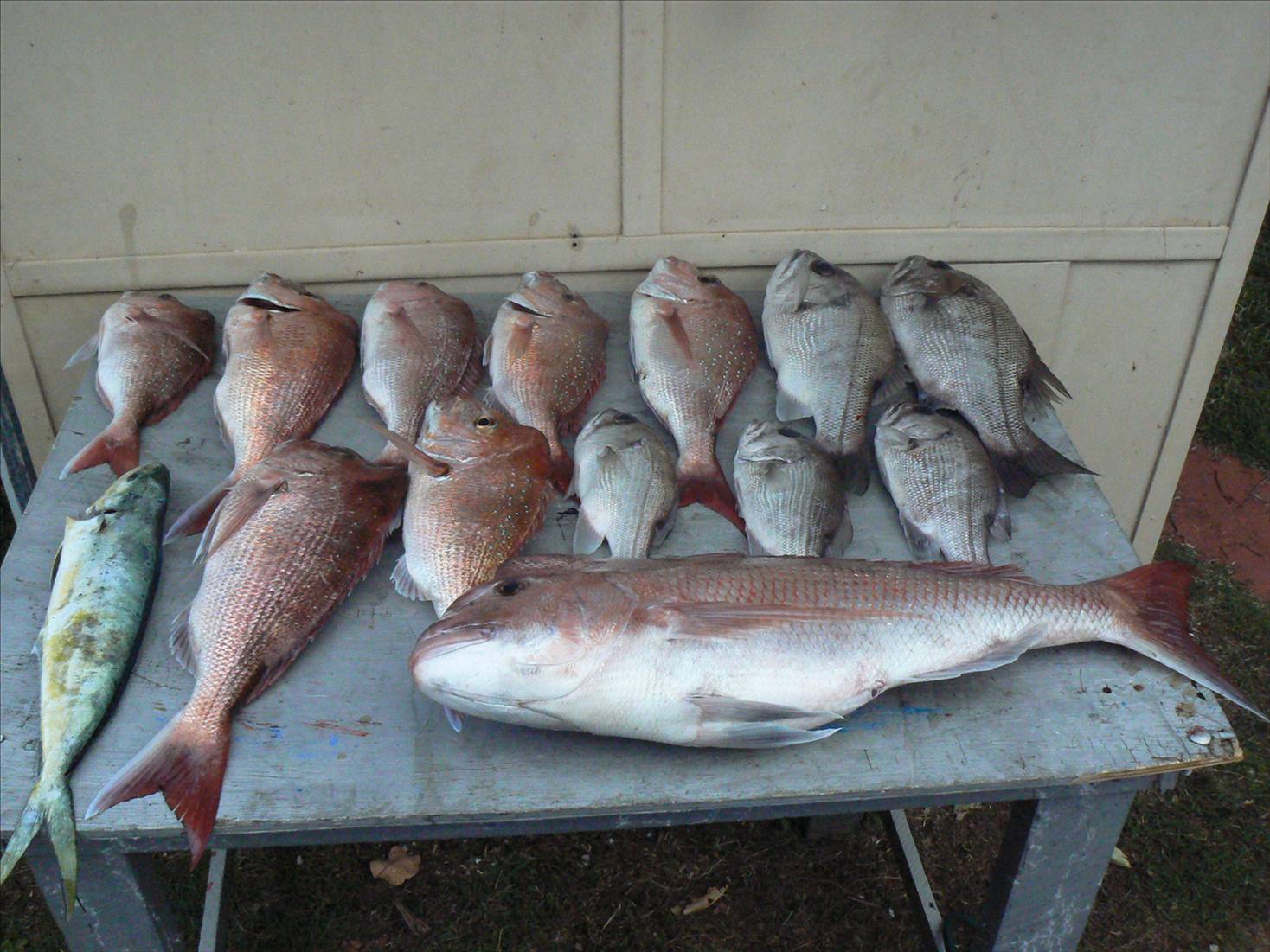 All on soft plastics