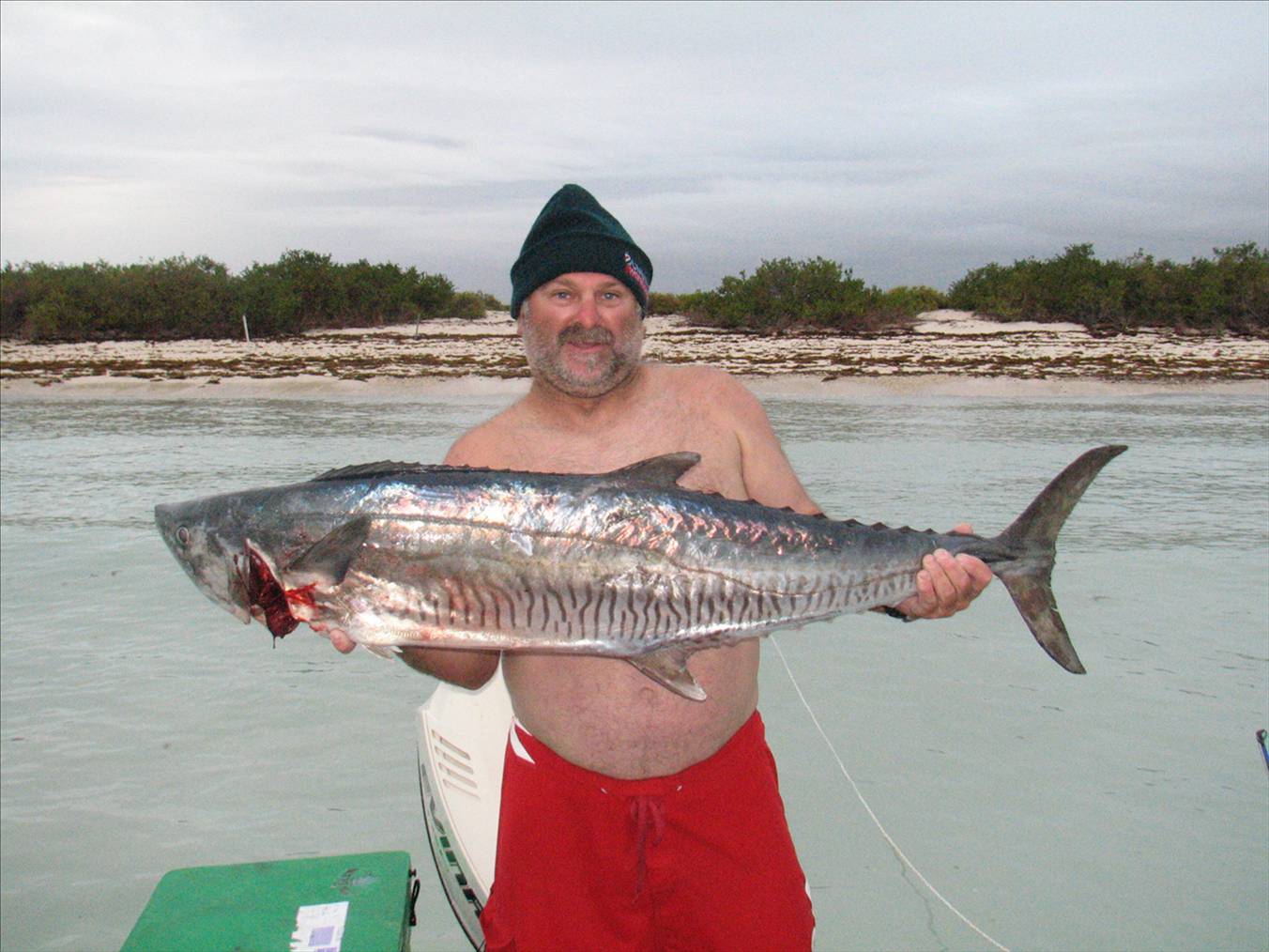 spanish mackeral
