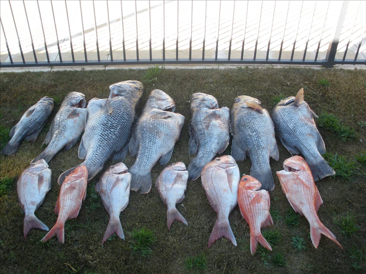 good days fishing 