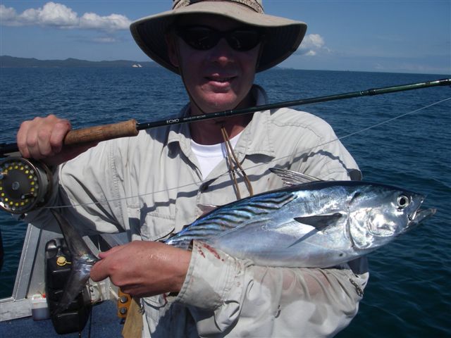 greenleaders first mack tuna on fly.