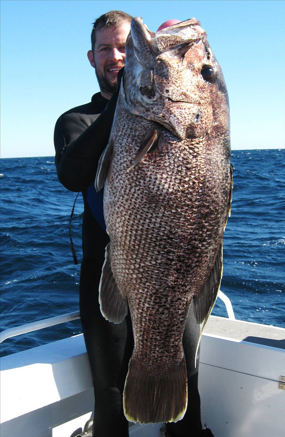 22kg dhu off rotto