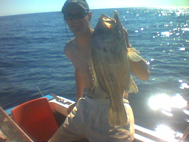 nice fish