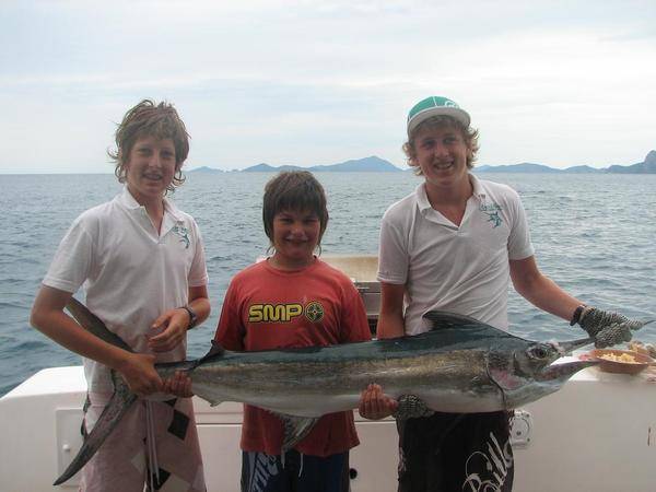 Whitsundays marlin