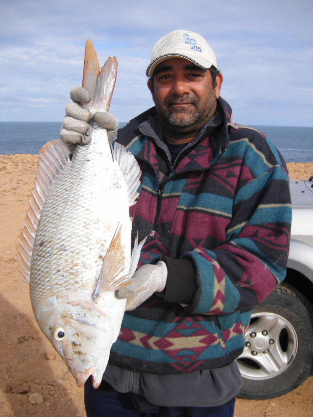 nw snapper