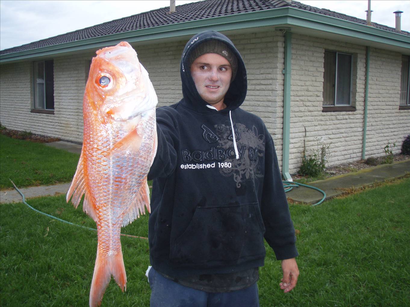 660mm nanny