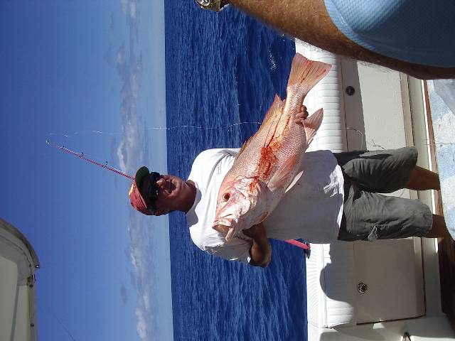 900 mm nanny