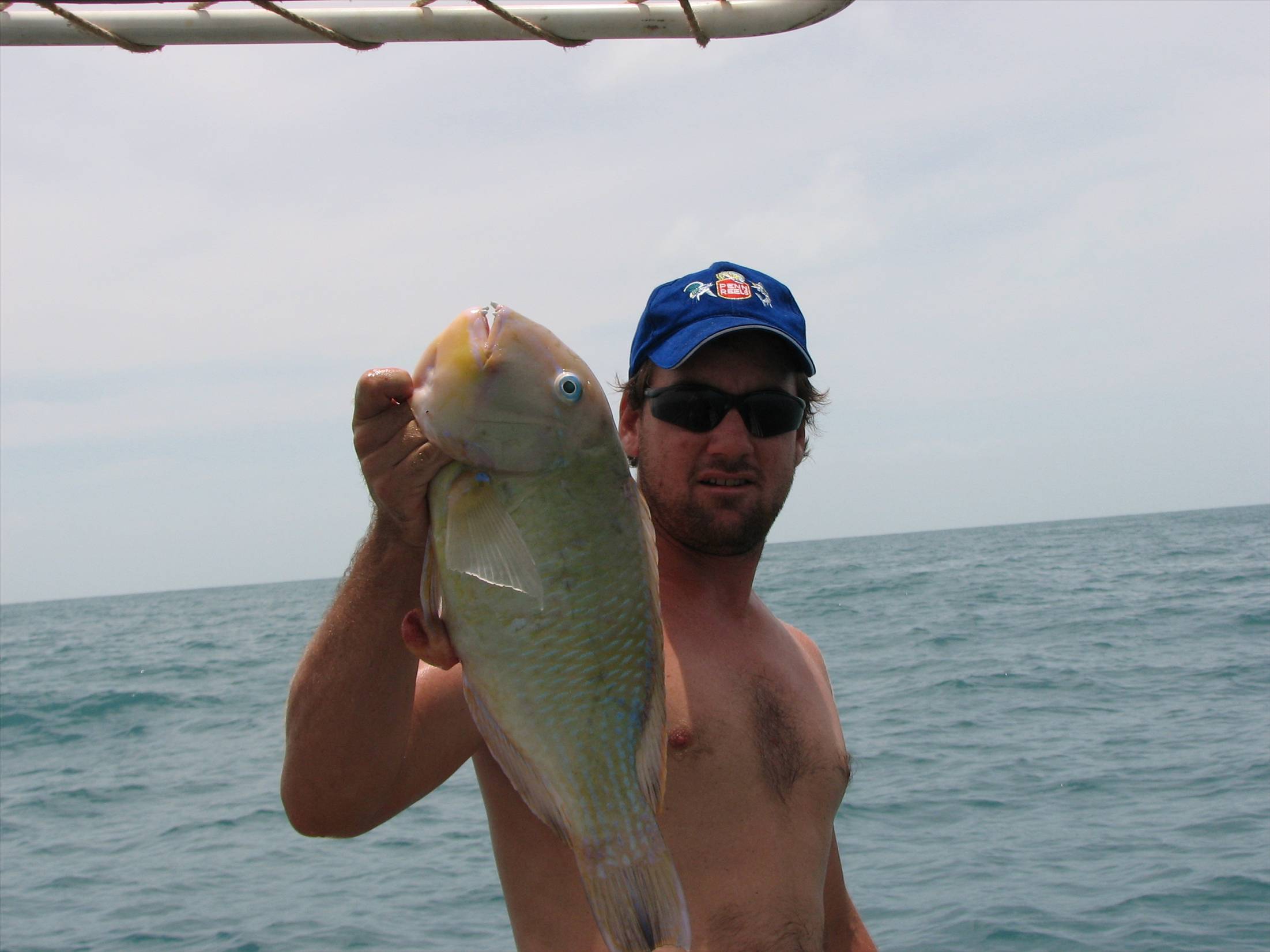 fish from all over