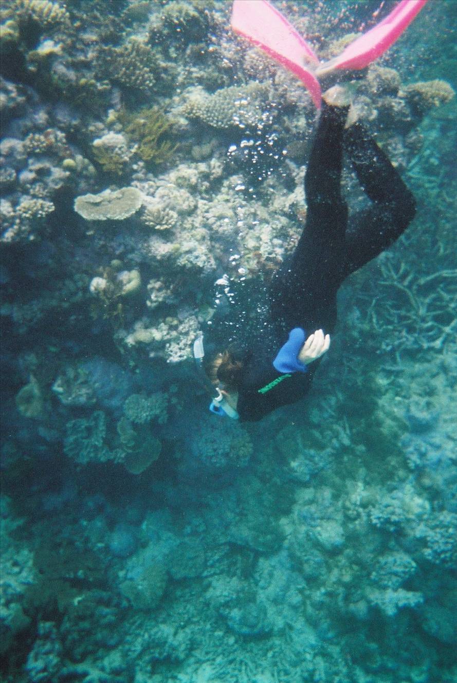 coral bay