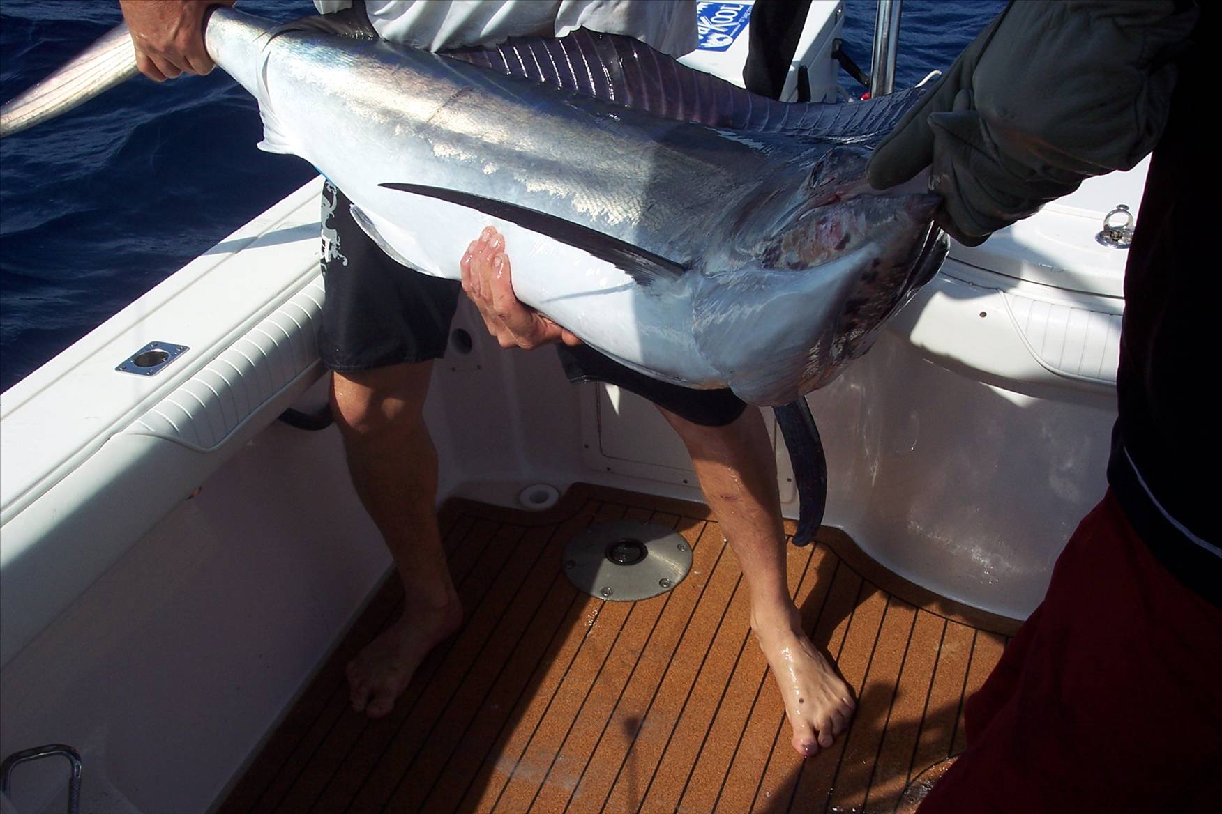 Black Marlin QLD