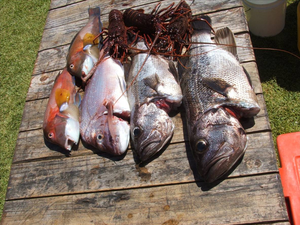 Jurien Bay Trip