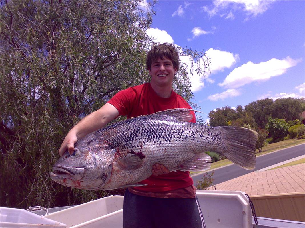 nice catch 