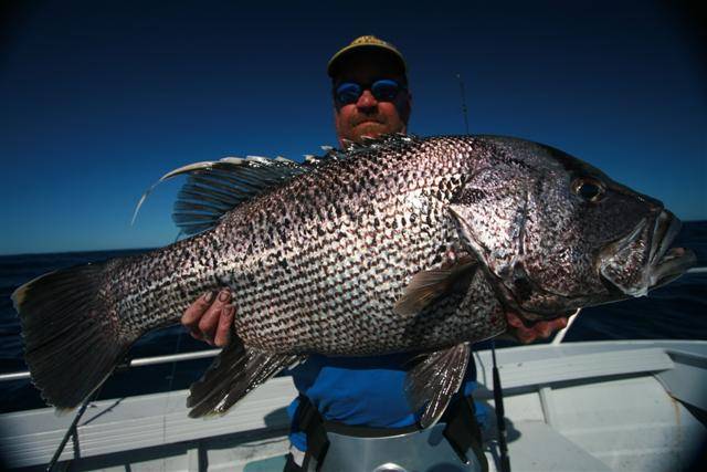 big bugger