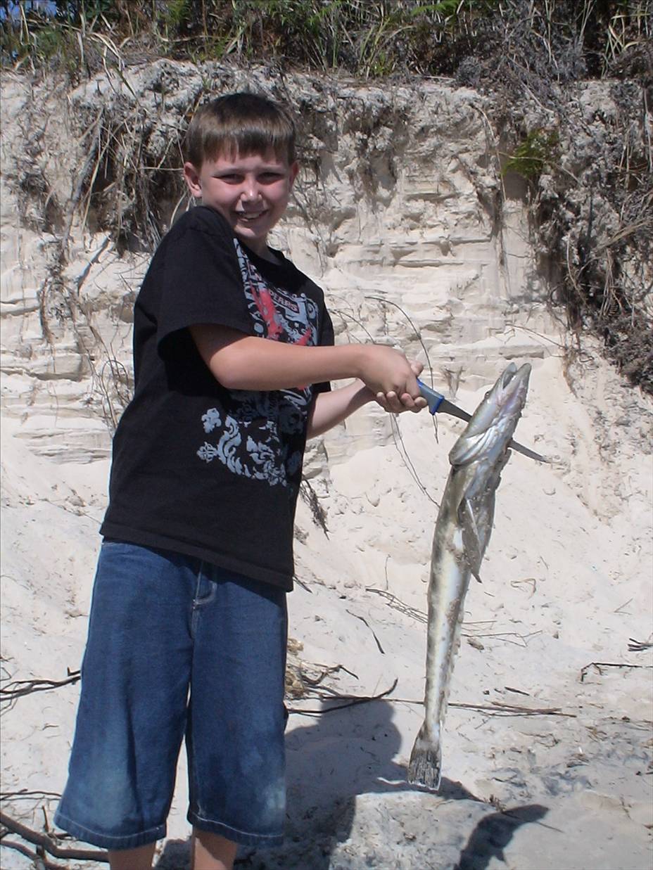 flathead