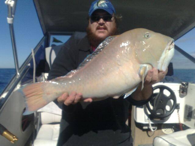 phill of rotto