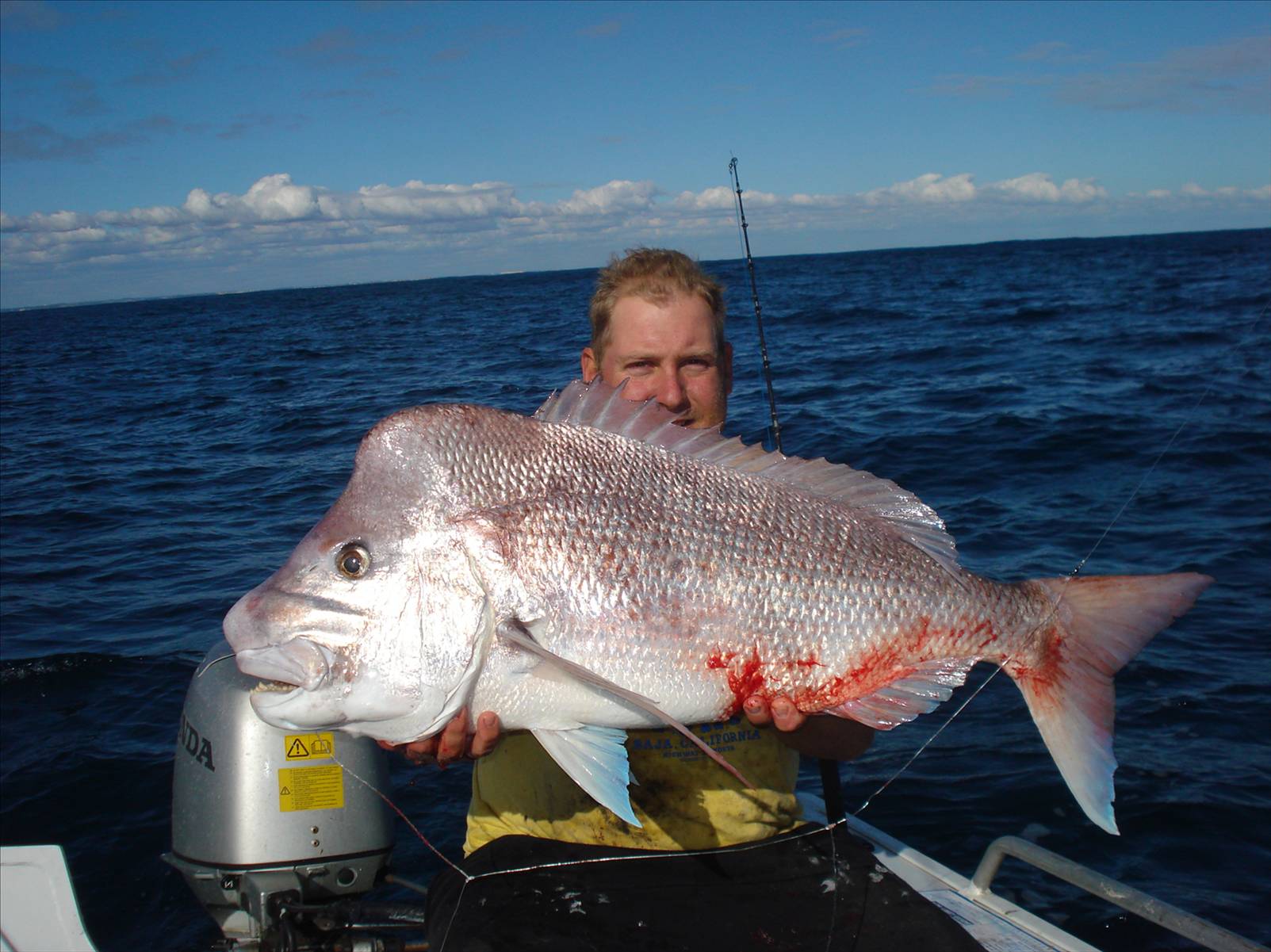 12.5 kg
