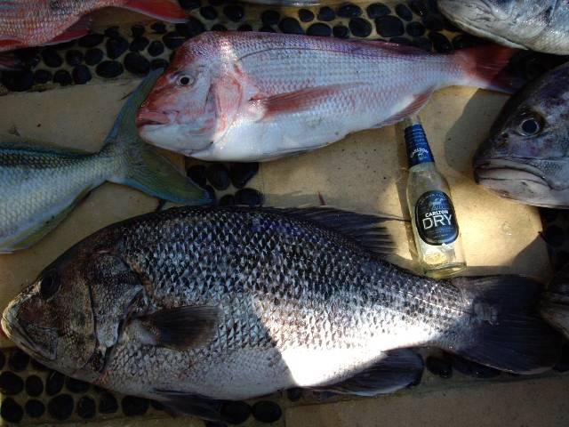 On the bite