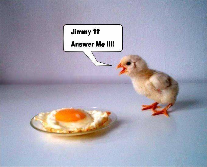 jimmy