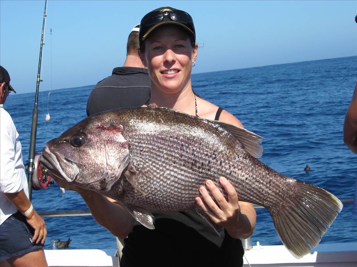 liza on charter