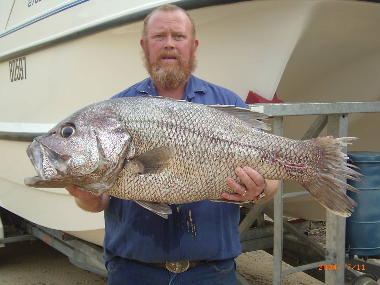 18 kg Dhu