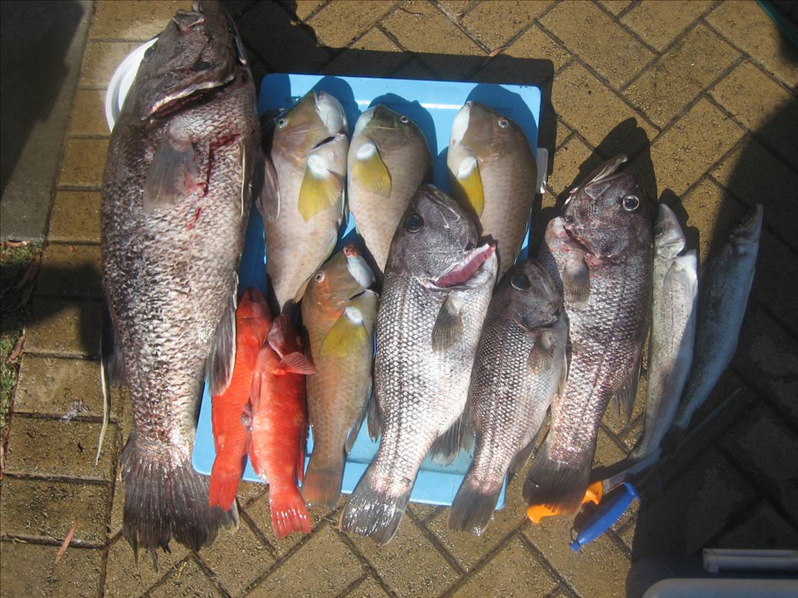 Good catch