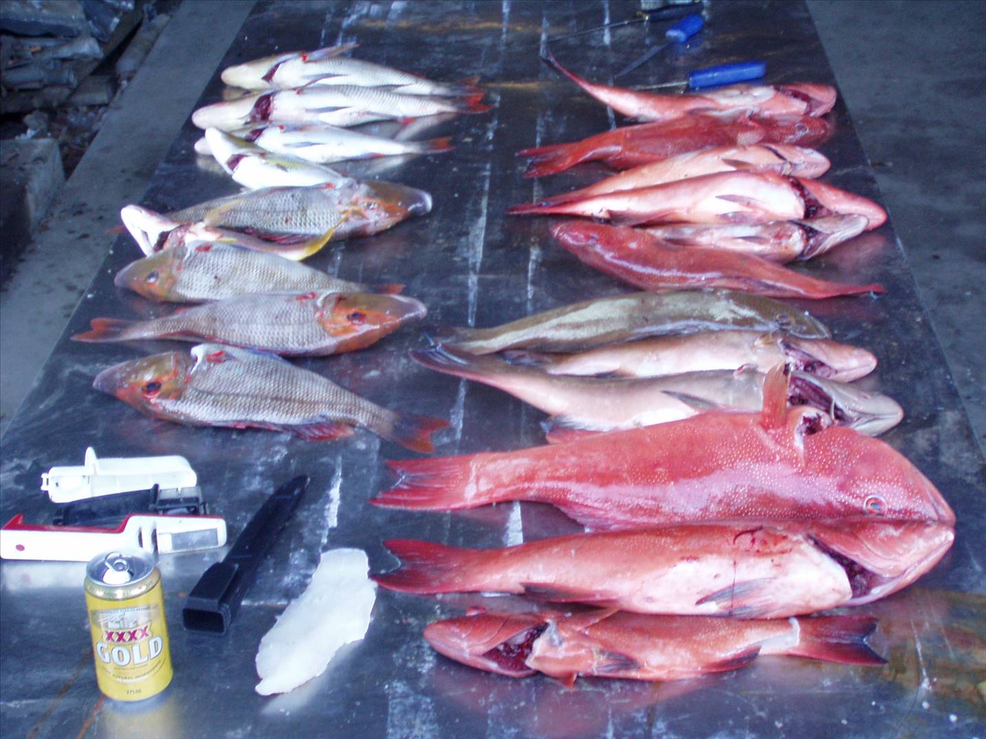 a few days good fishing