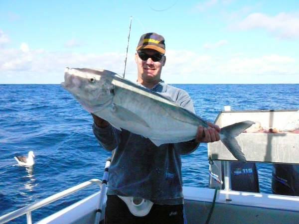 7.5 kg skippy