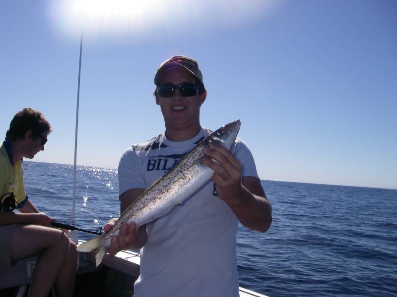 Nice King George