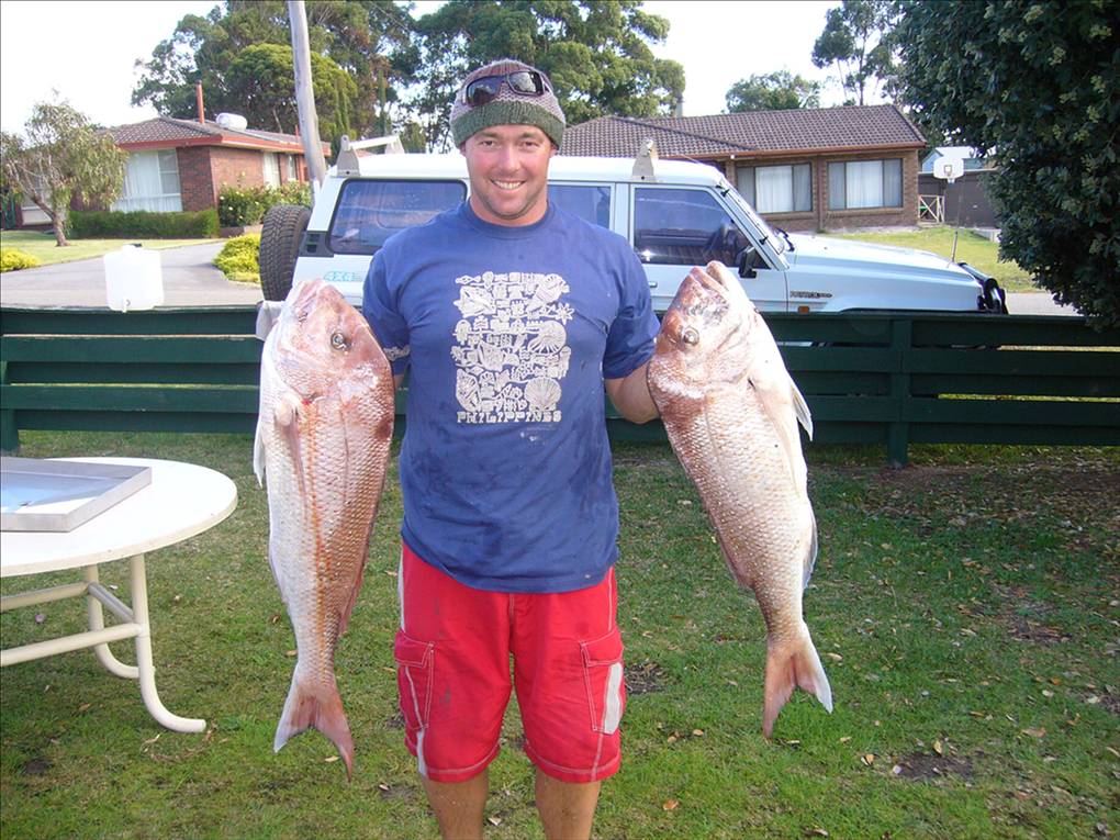 SOME NICE PINKS FROM THE TINNY IN ALBANY