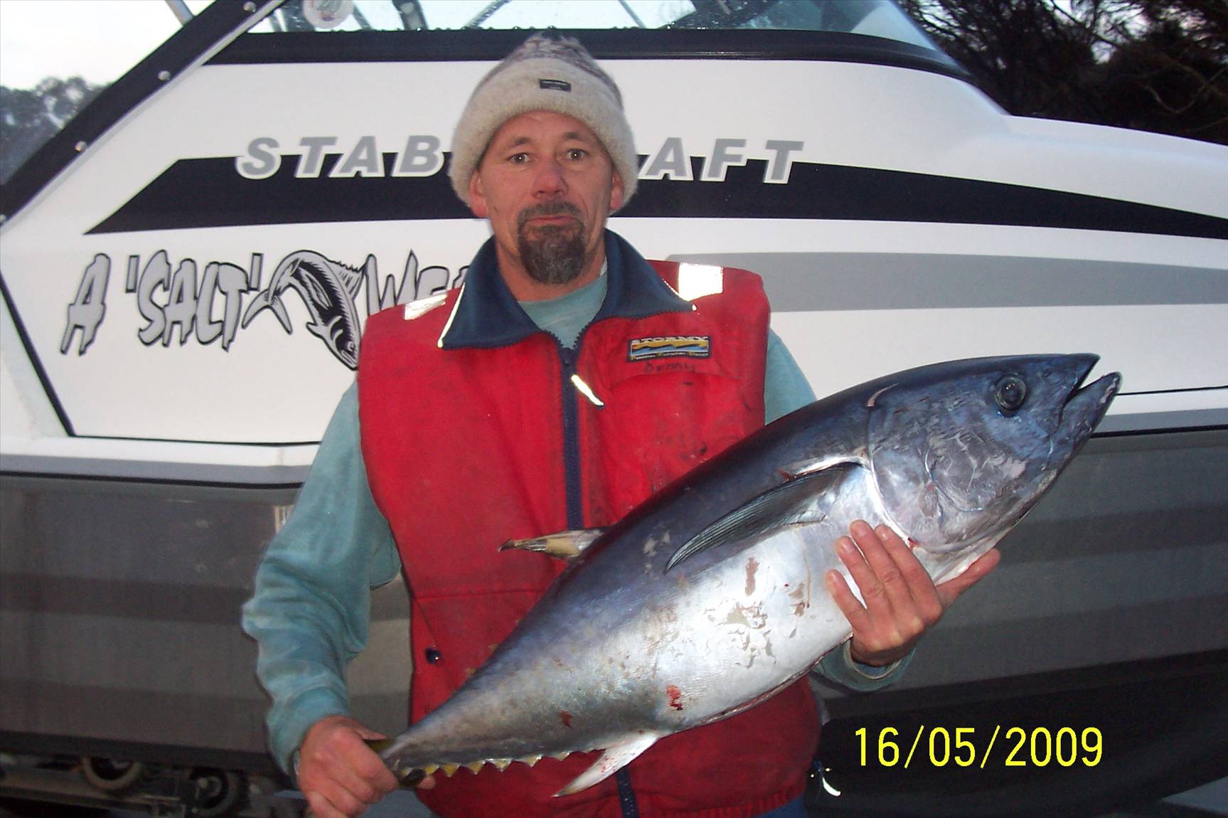 20 Kg Southern Bluefin Tuna