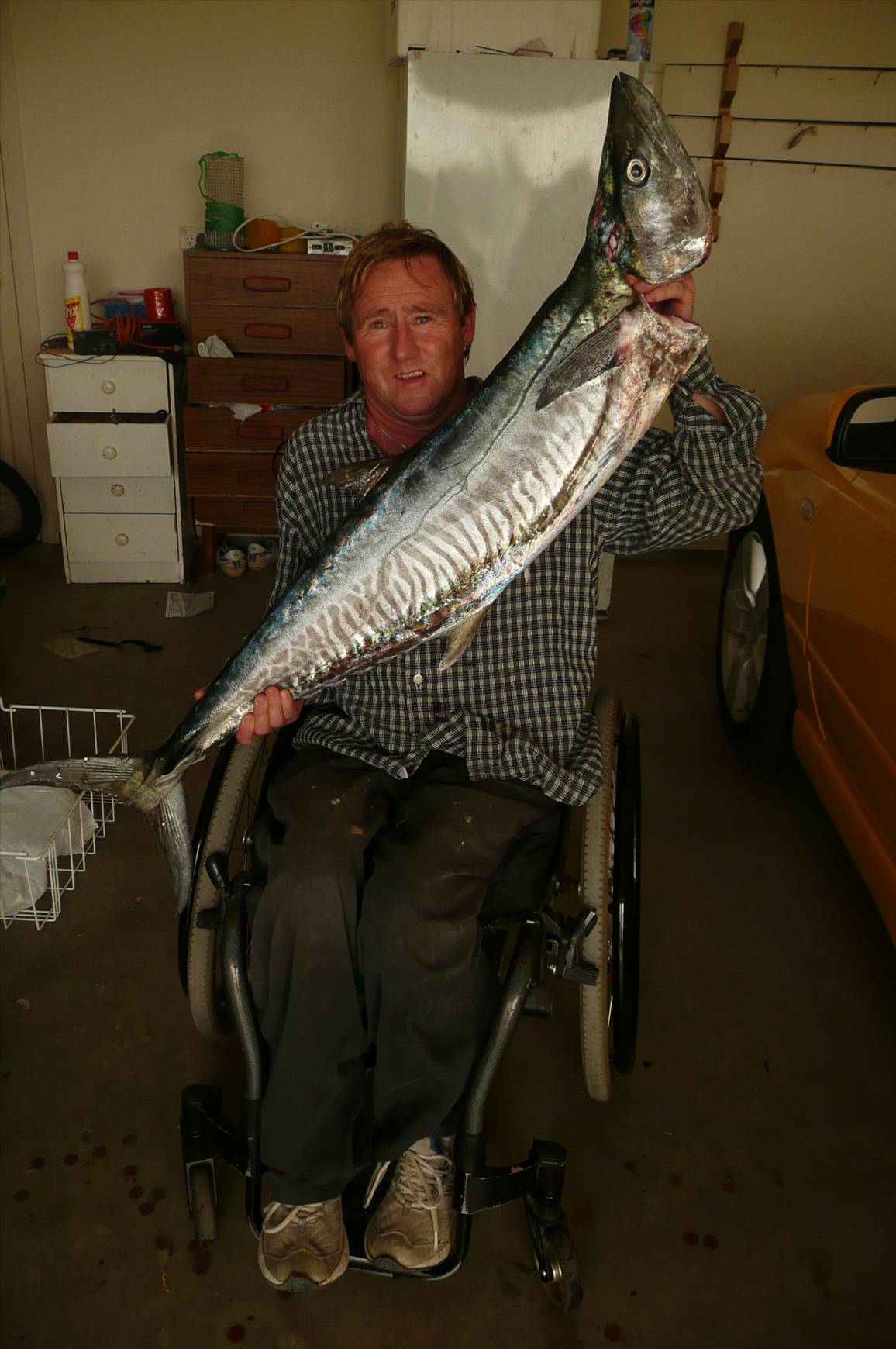 Mackrel  25 Feb 2009