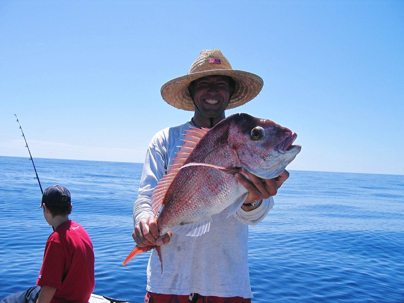 Snapper