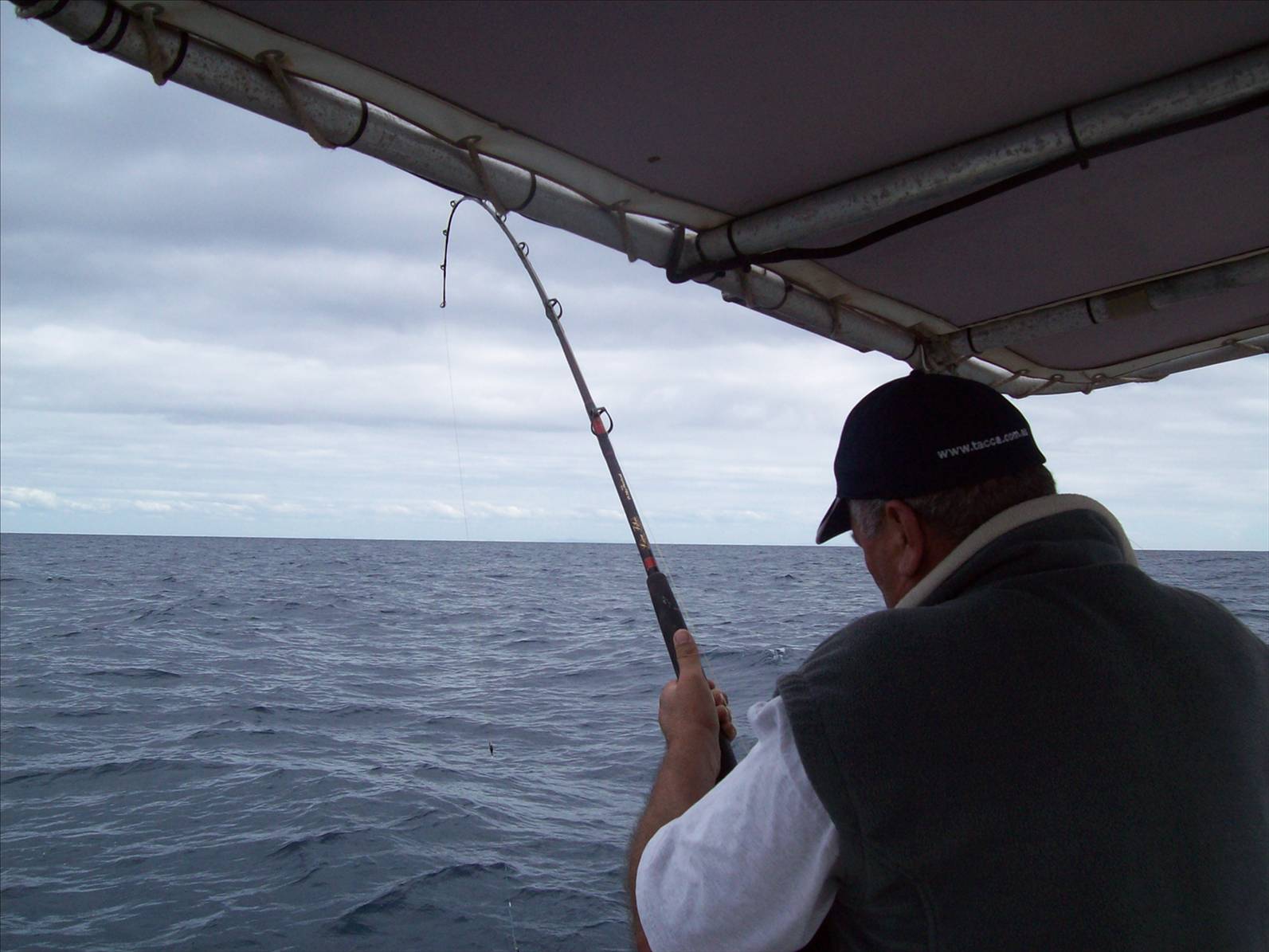 Not a bad Cobia.