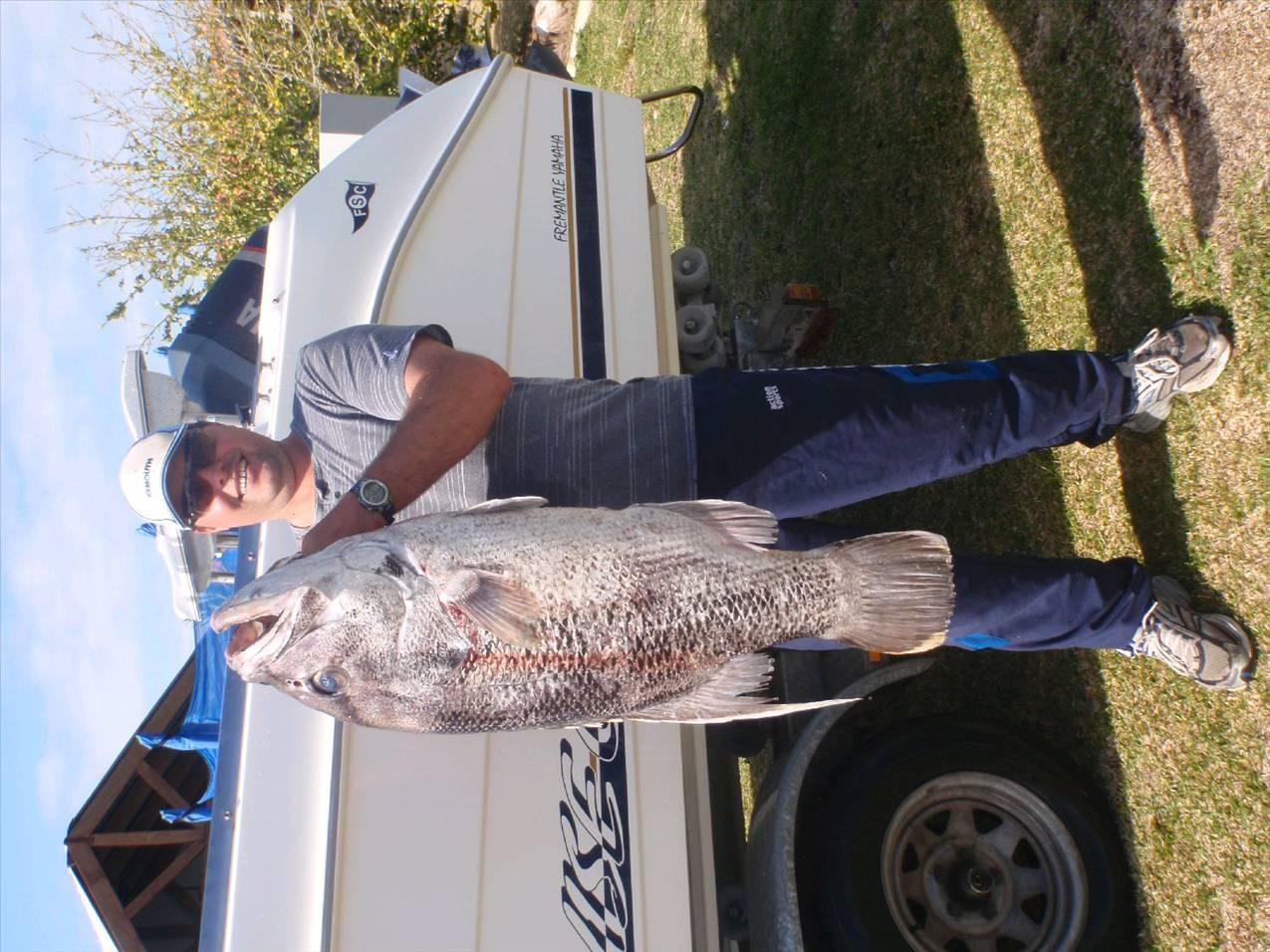 19.5kg dewy
