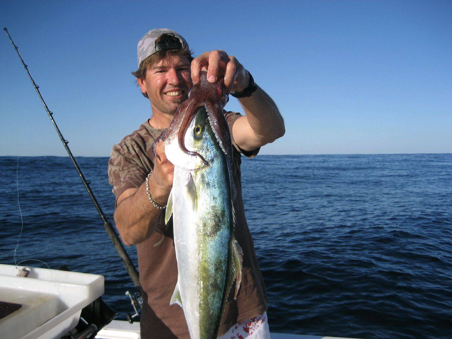Squid on Kingie