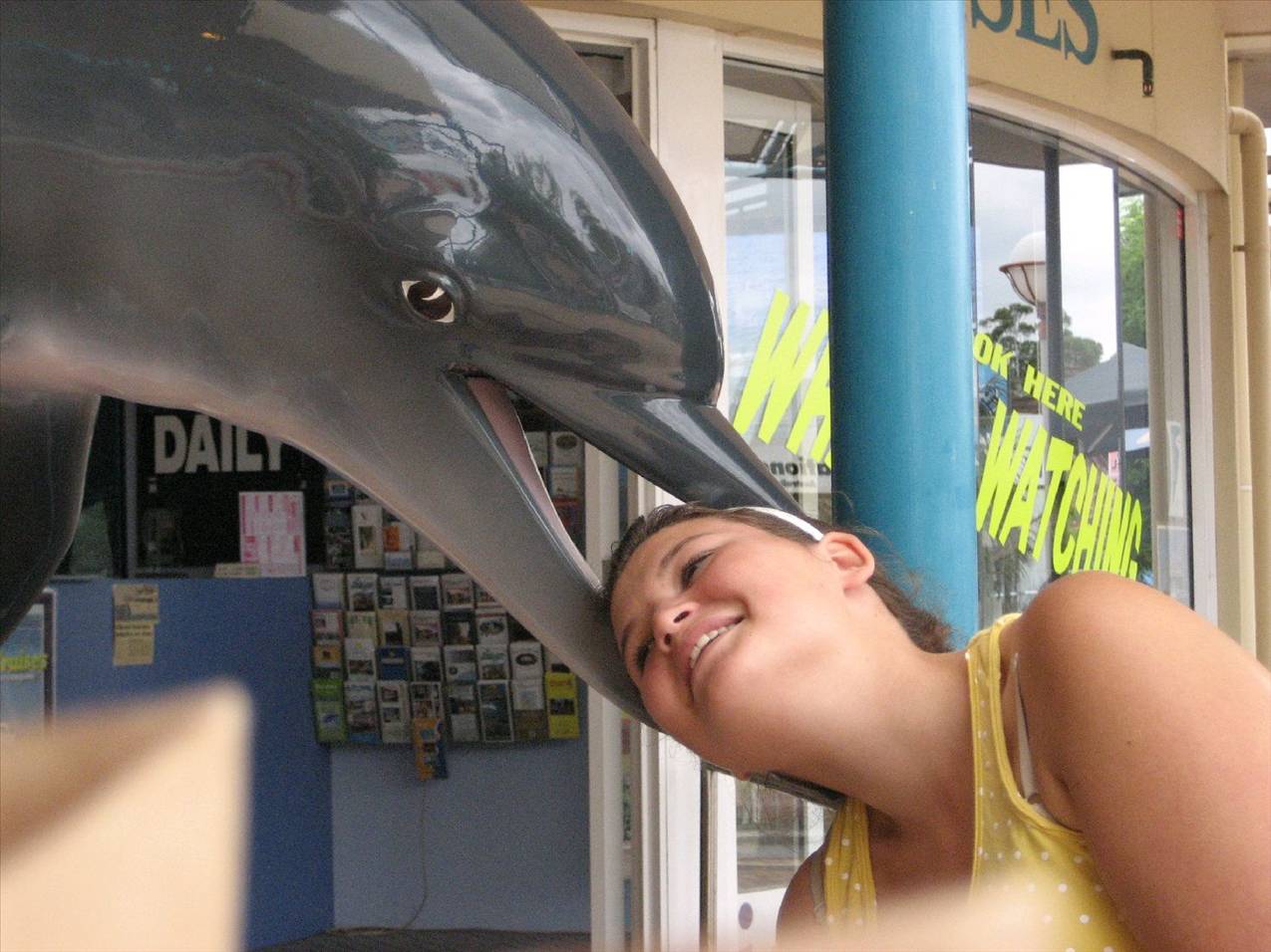 Killer Dolphin