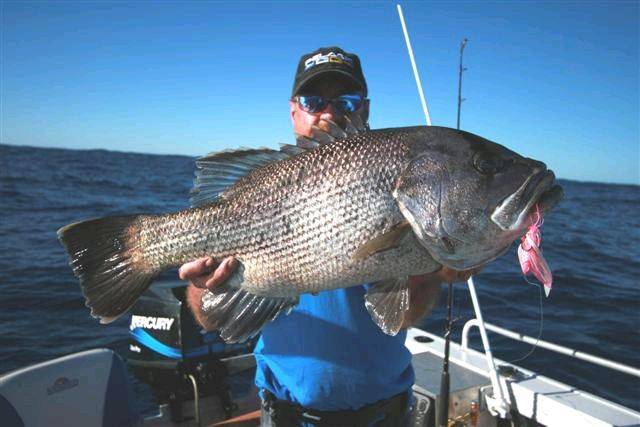 dhuie on a lucanus jig