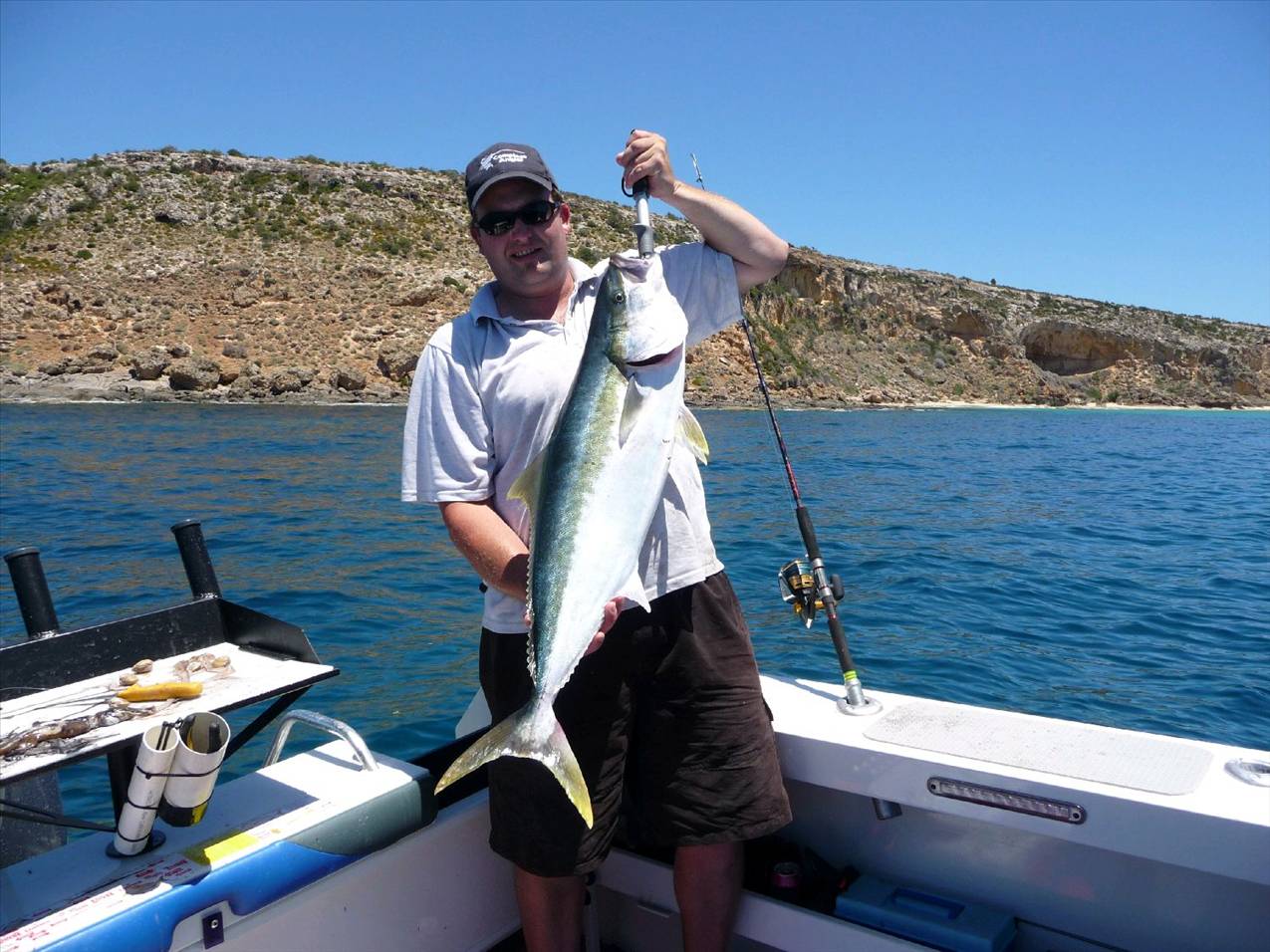 9kg kingy