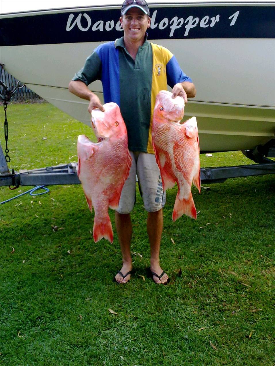 11KG & 8KG Reds