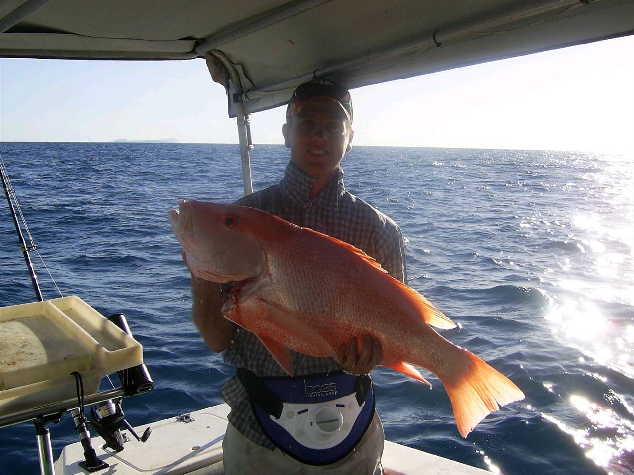 8KG Nannygai