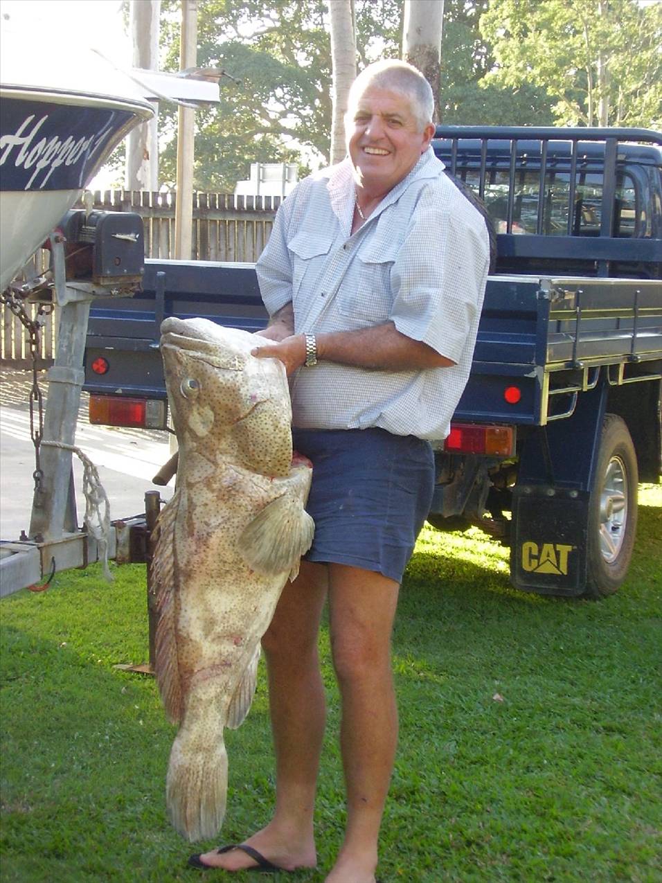 18KG Gold Spot Cod